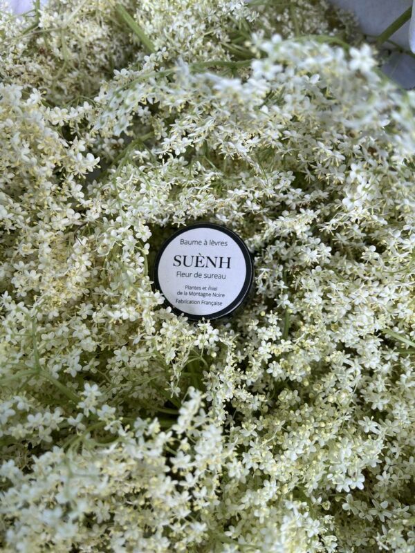 Baume à Lèvres à La Fleur de Sureau Sauvage 7 ml – Image 2